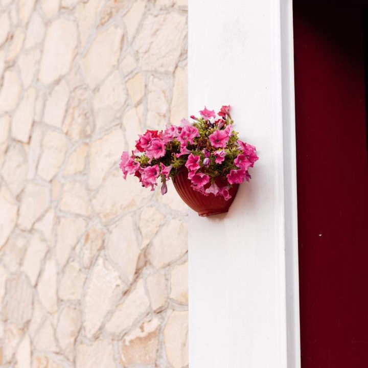 Photo of Others in Roseto Valfortore
