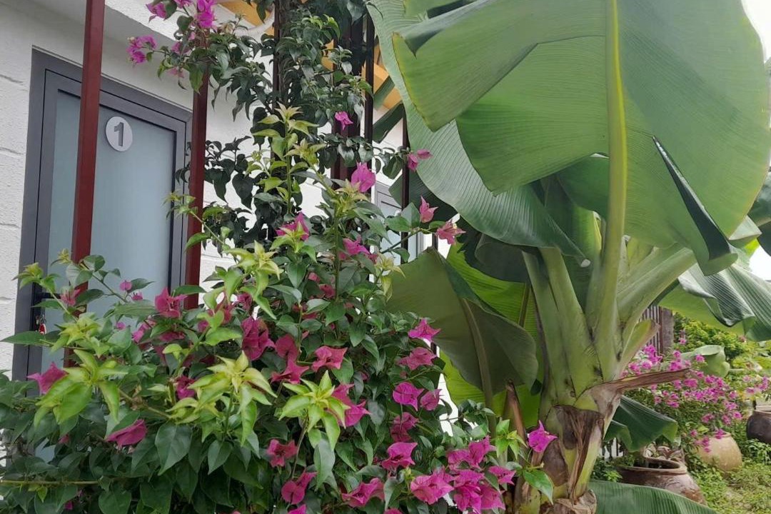 Photo of Others in Ninh Hai