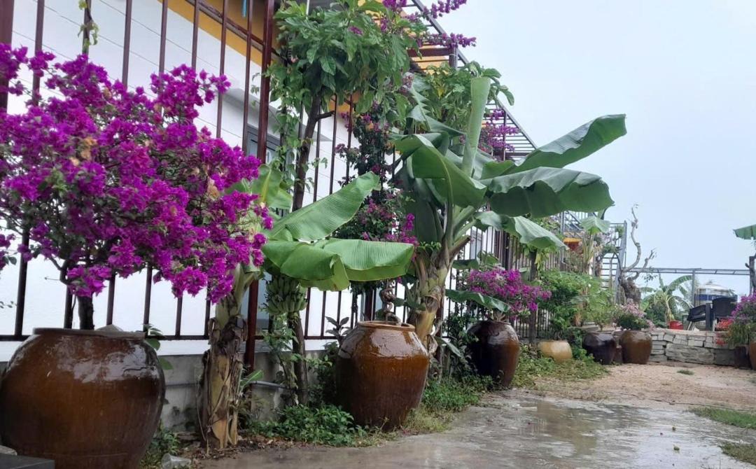Photo of Others in Ninh Hai