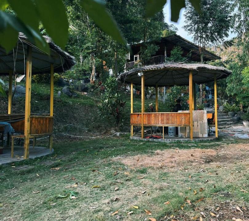 Photo of Outdoor in Cat Hai