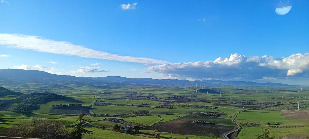 Photo of Others in Troia