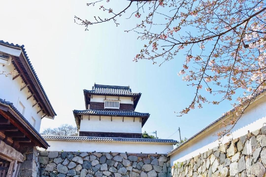 Photo of Others in Chuo-ku