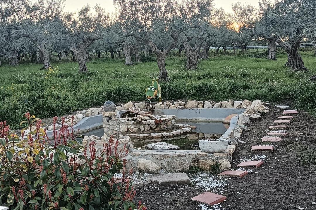 Photo of Others in Montenero di Bisaccia