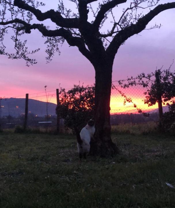 Photo of Others in Valmontone