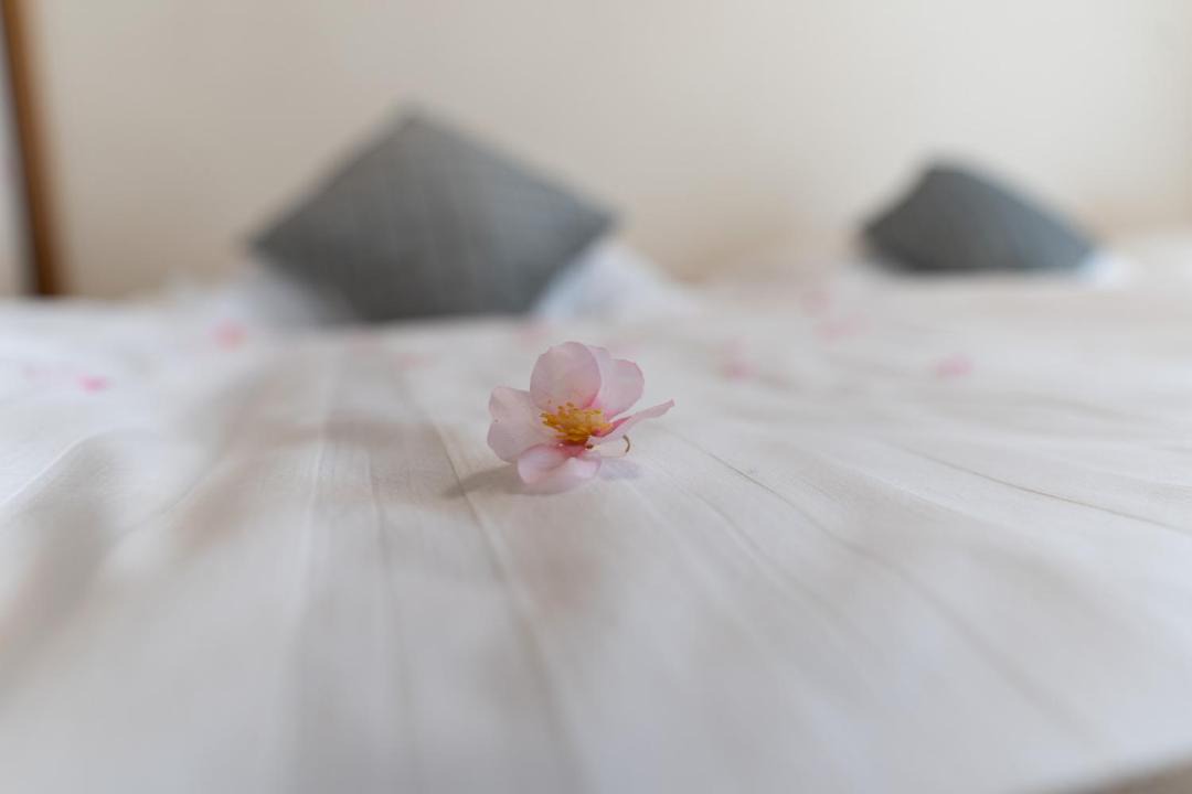 Photo of Bedroom in Nishi Ward