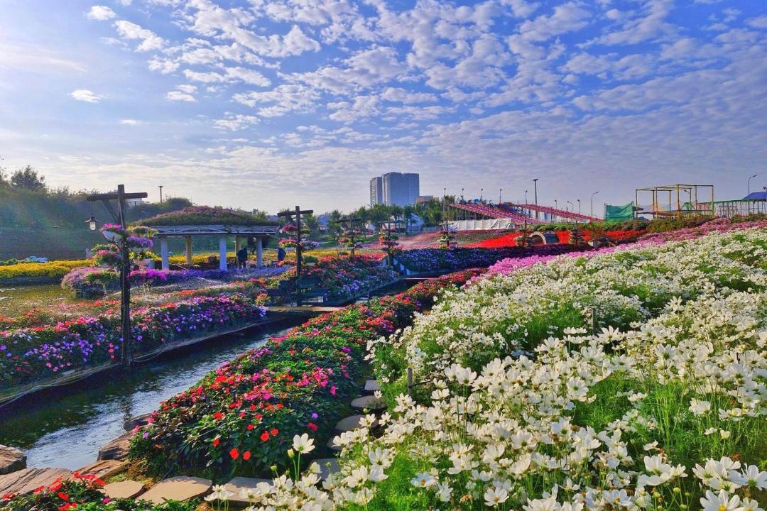 Photo of Others in Nhat Tan