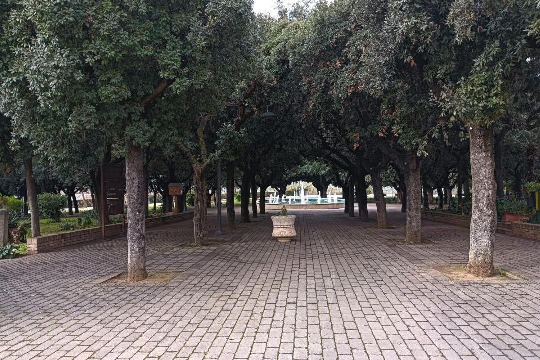 Photo of Others in Torremaggiore