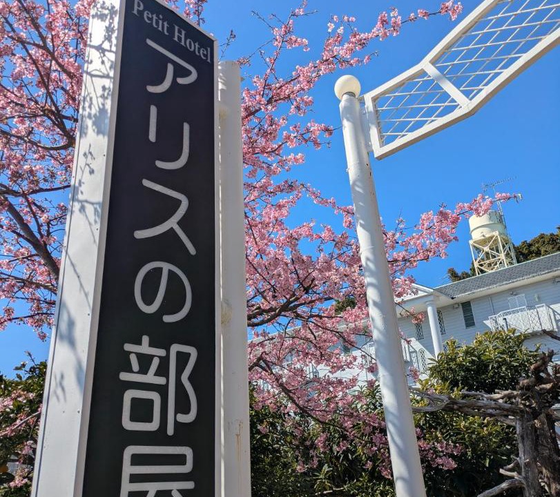 Photo of Others in Kawazu