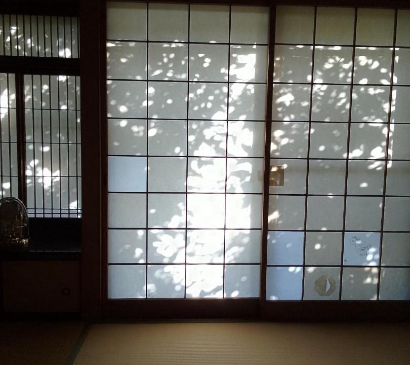 Photo of Others in Yoshinogawa