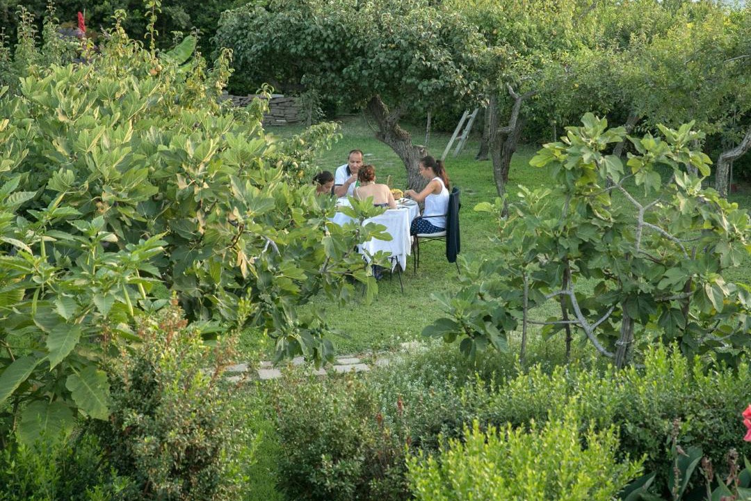 Photo of Others in Anacapri