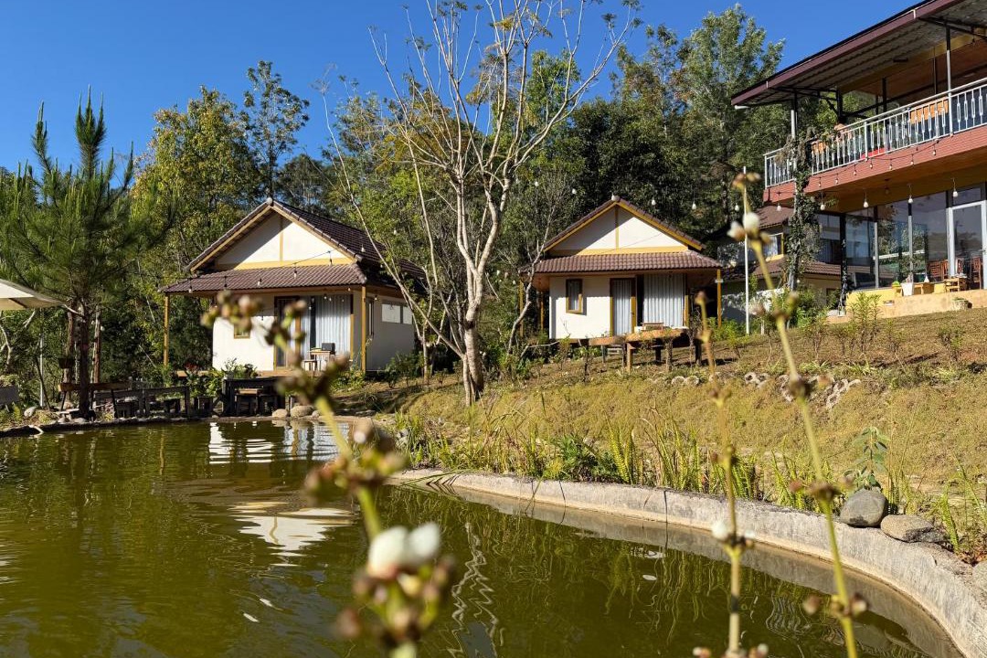 Photo of Others in Lac Duong