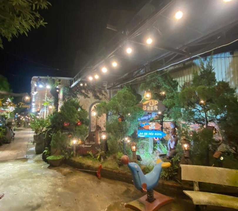 Photo of Others in Tam Ky