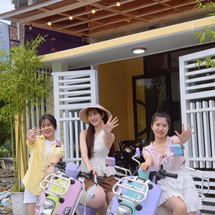 Photo of Others in Thuy Xuan