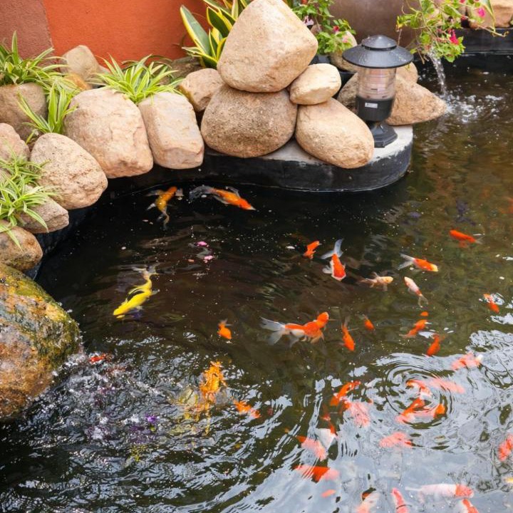 Photo of Others in Ninh Hai