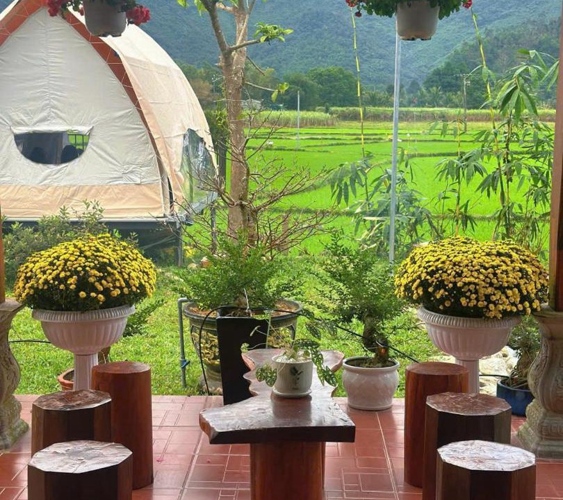 Photo of Others in Hoa Vang