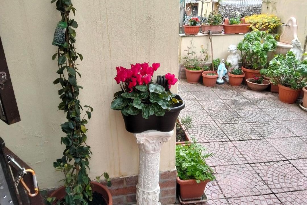 Photo of Others in Rome Province