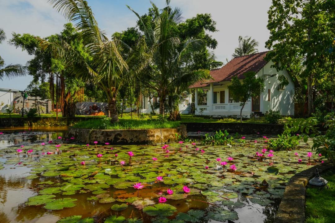 Photo of Others in Phu Quoc
