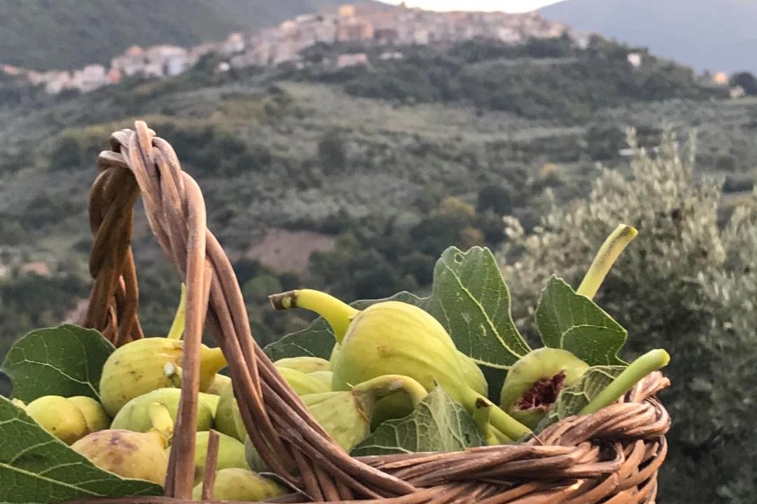 Photo of Others in Scandriglia