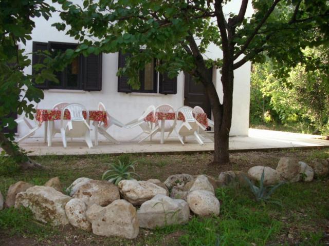 Photo of Others in Lido del Sole