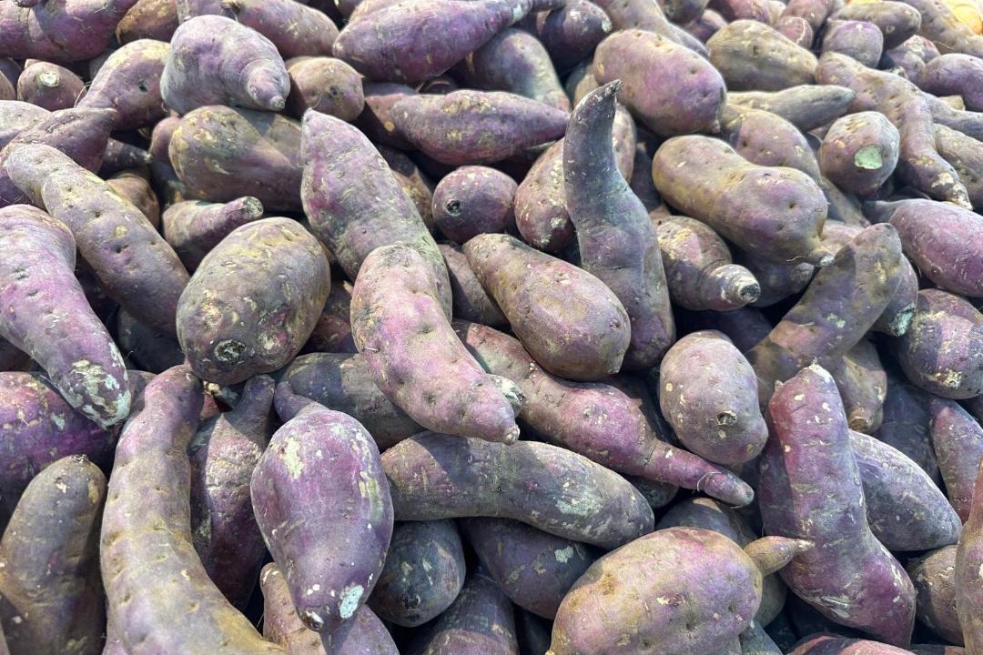 Photo of Others in Tu Liem