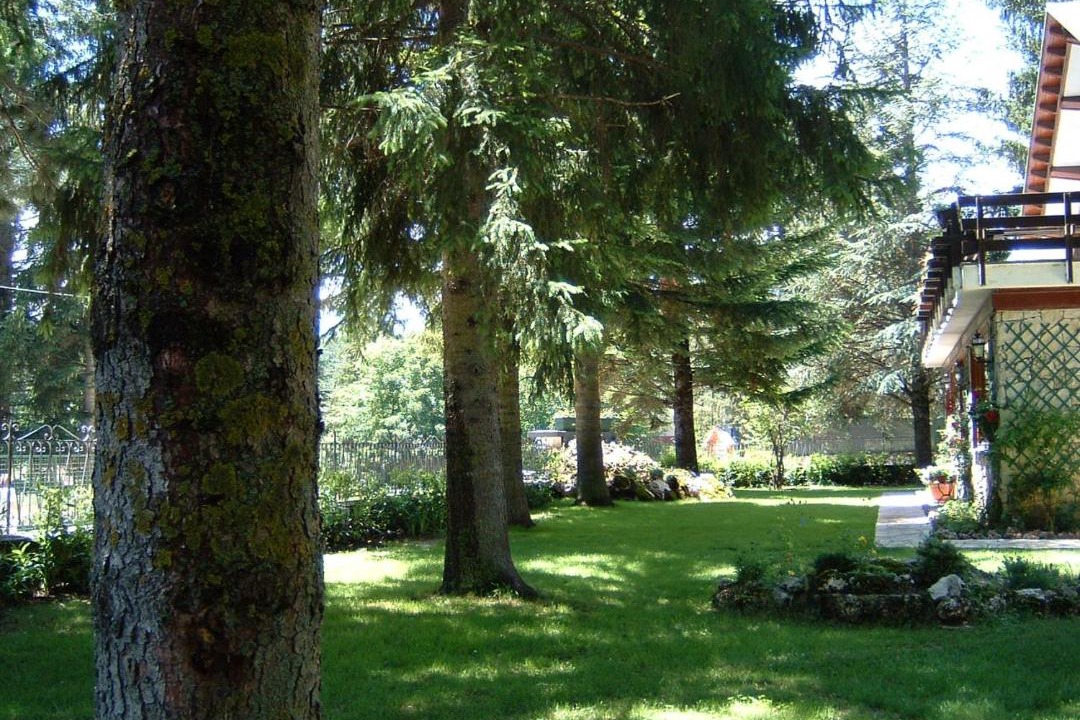 Photo of Others in Pescasseroli