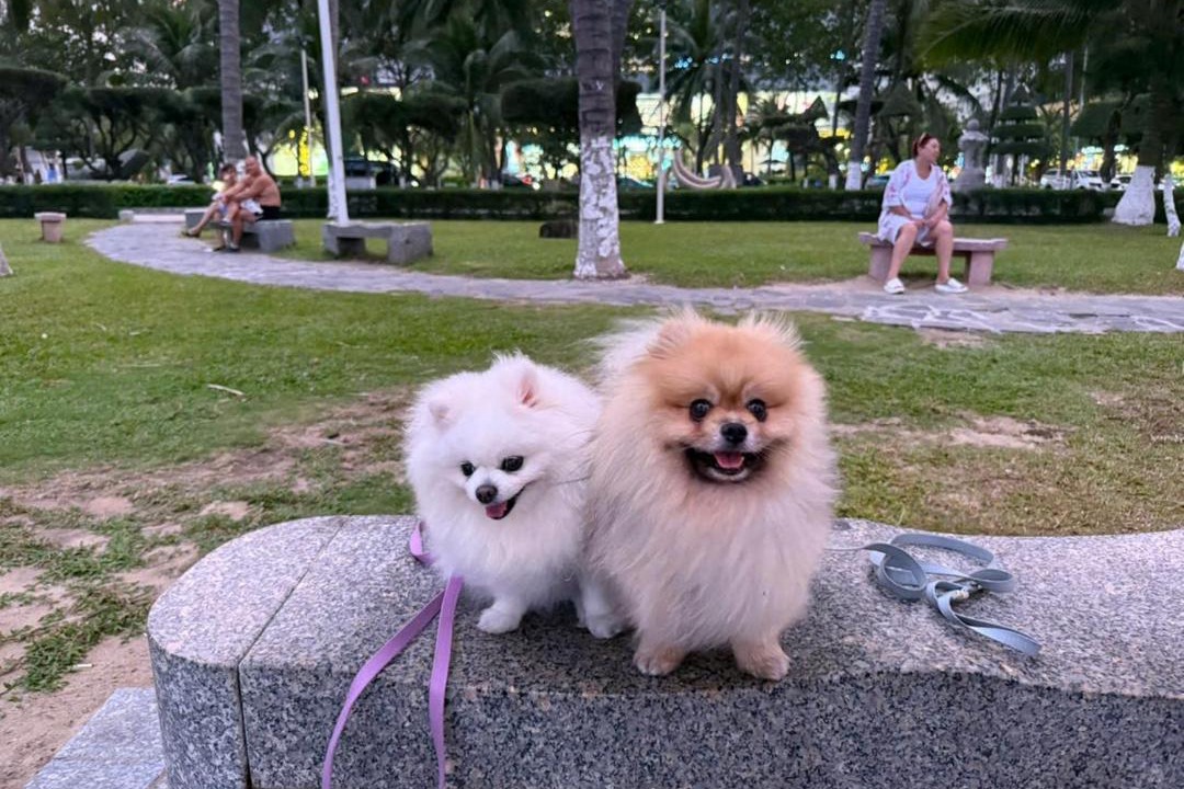Photo of Others in Tran Phu Beach