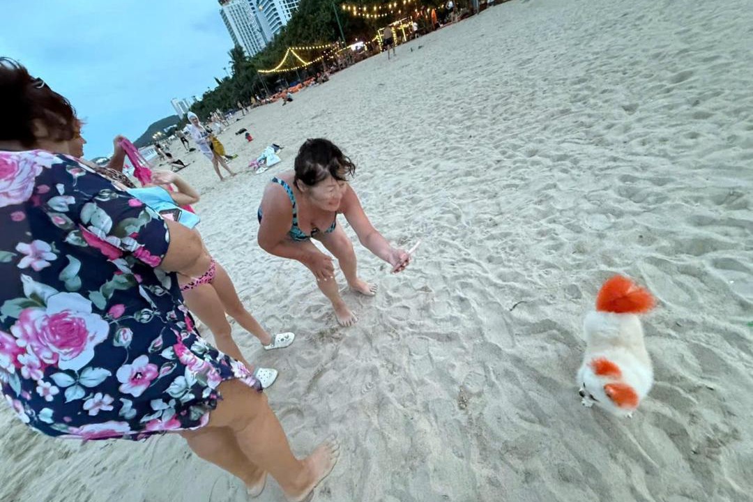 Photo of Others in Tran Phu Beach