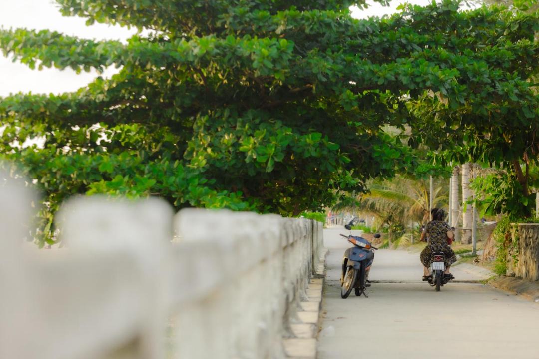 Photo of Others in Lien Chieu
