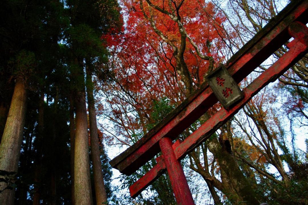 Photo of Others in Yamato
