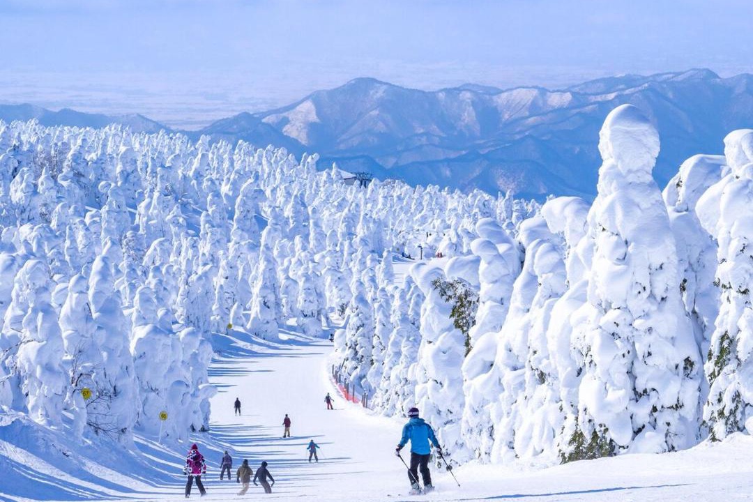 Photo of Others in Tokamachi