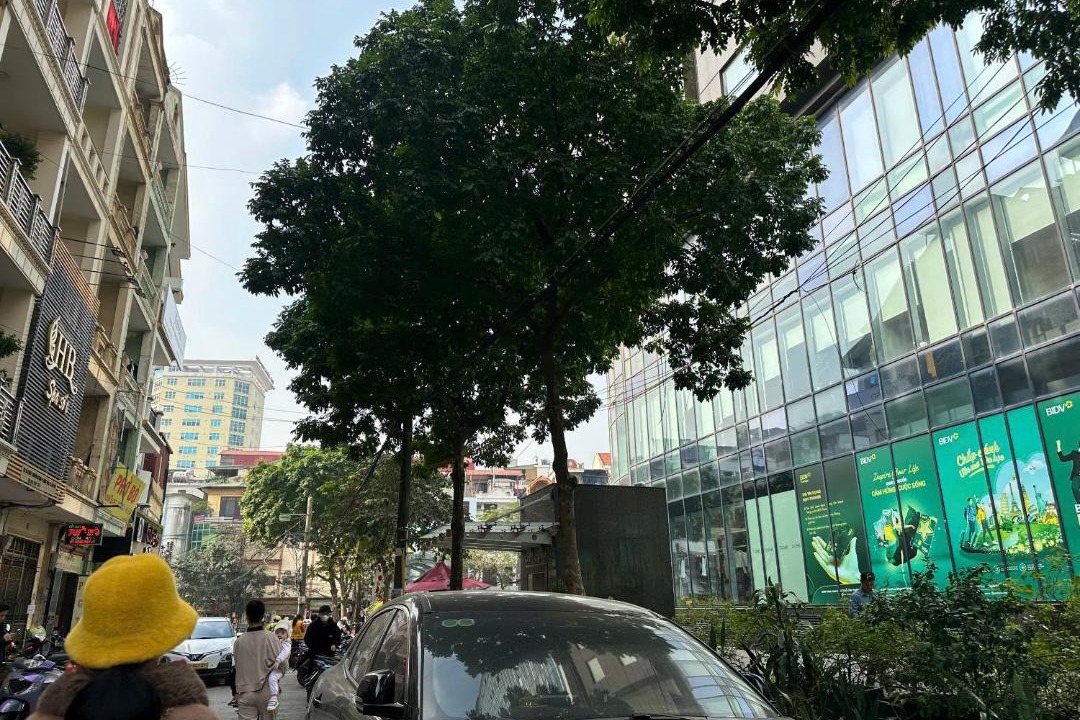 Photo of Others in Trung Hoa Nhan Chinh