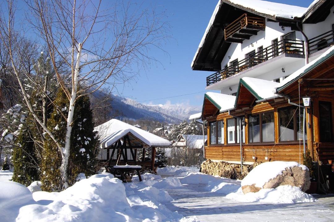 Photo of Buildings in Bran