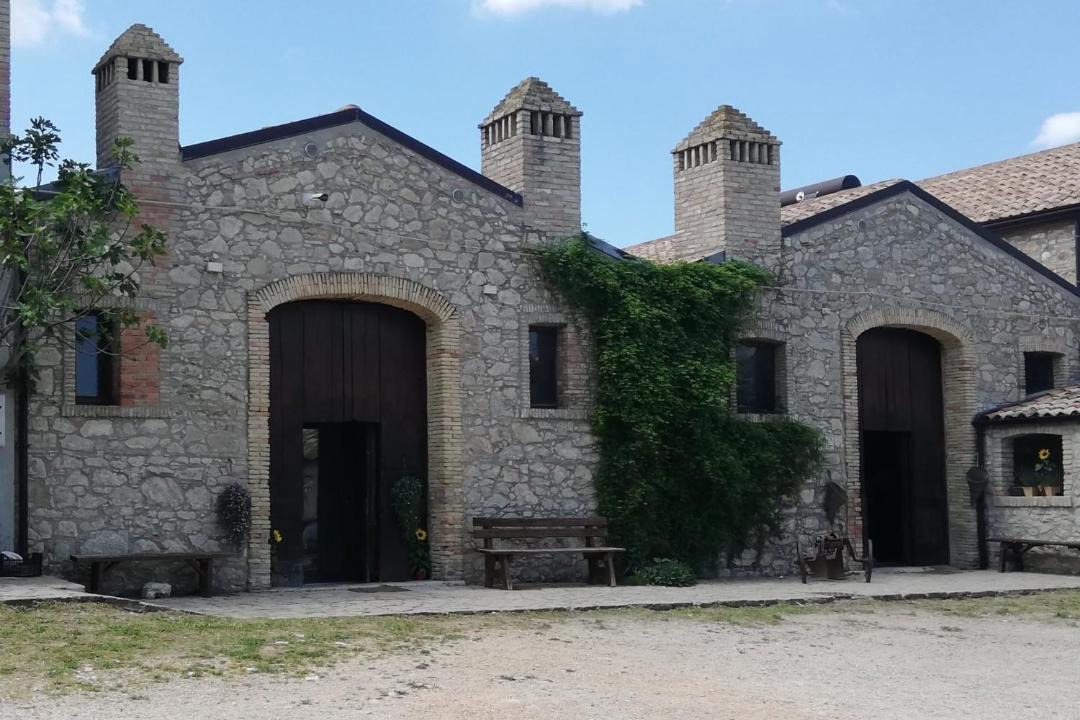 Photo of Others in Bovino