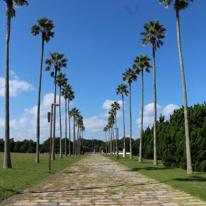 Photo of Others in Higashi-ku