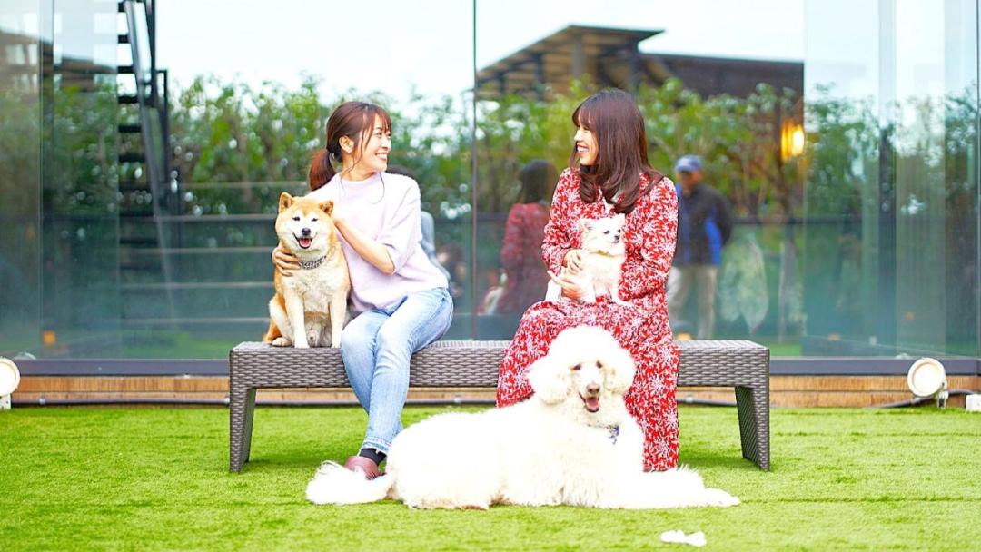 Photo of Others in Yawatano