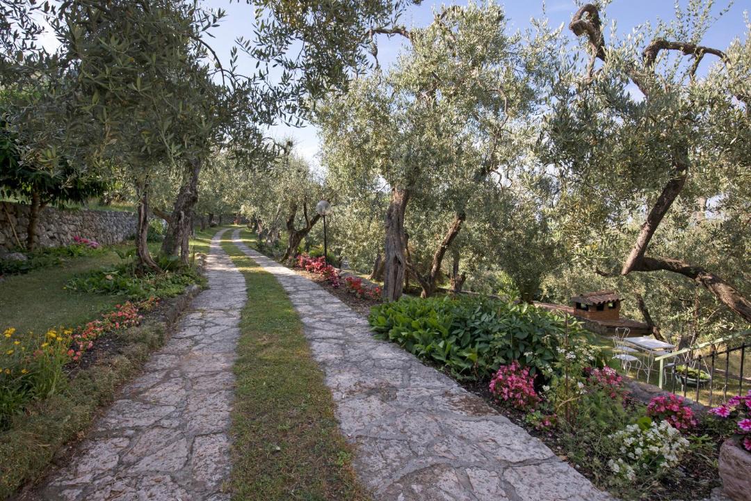 Photo of Others in Albisano