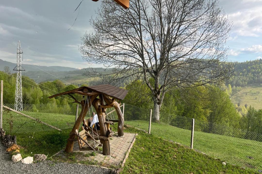 Photo of Others in Ciuruleasa