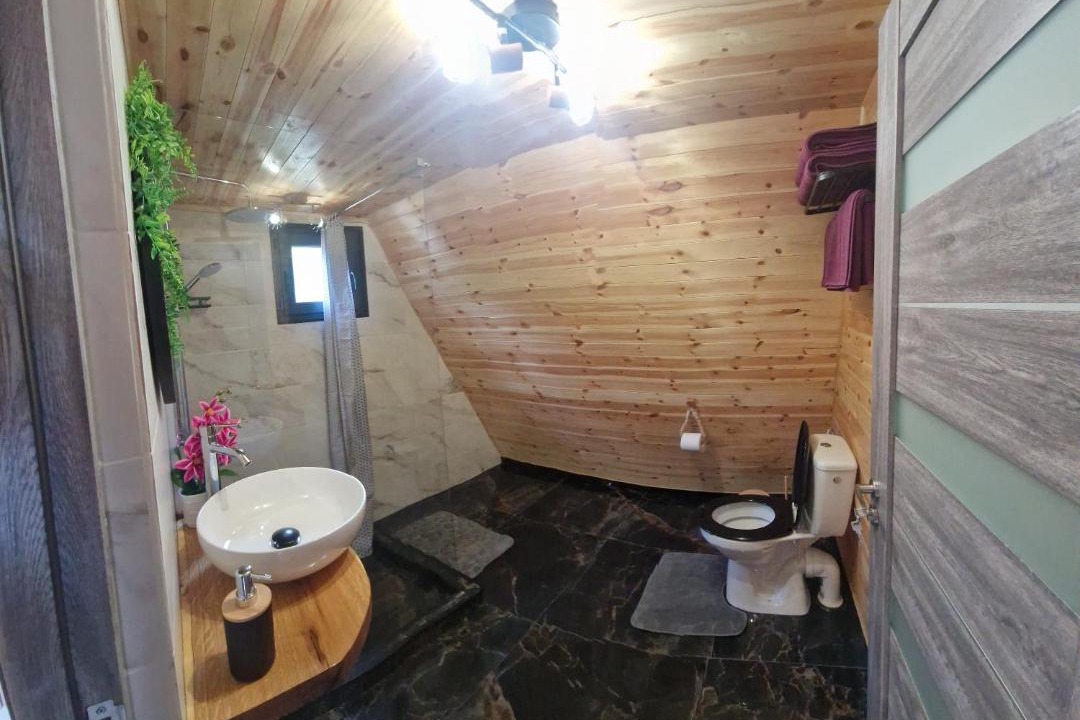 Photo of Bathroom in Rau Sadului
