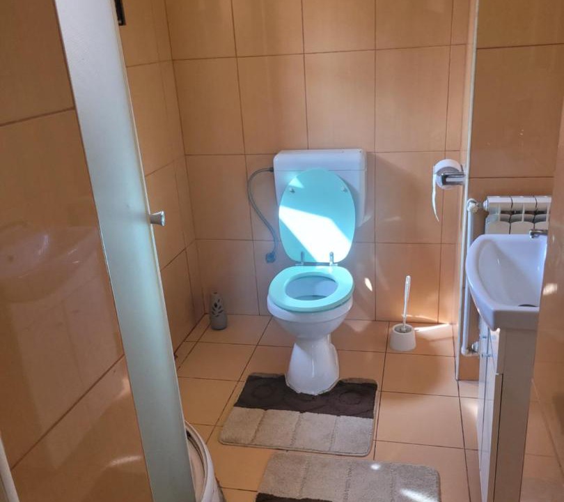 Photo of Bathroom in Hateg