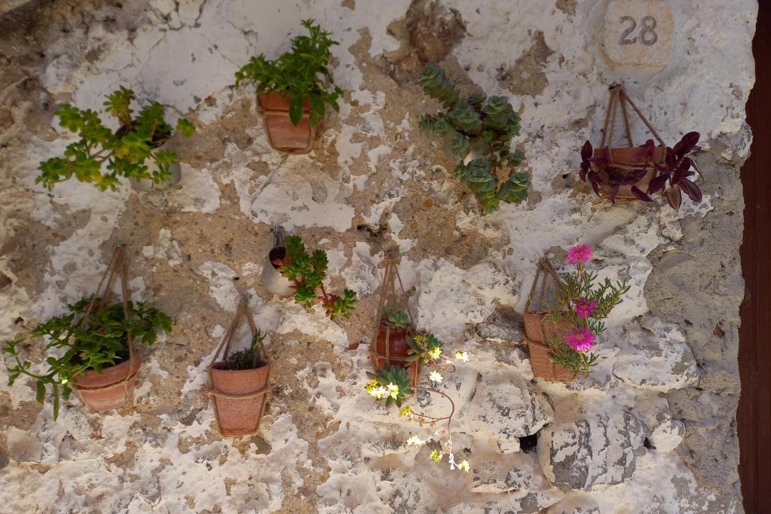 Photo of Others in Corleto Monforte