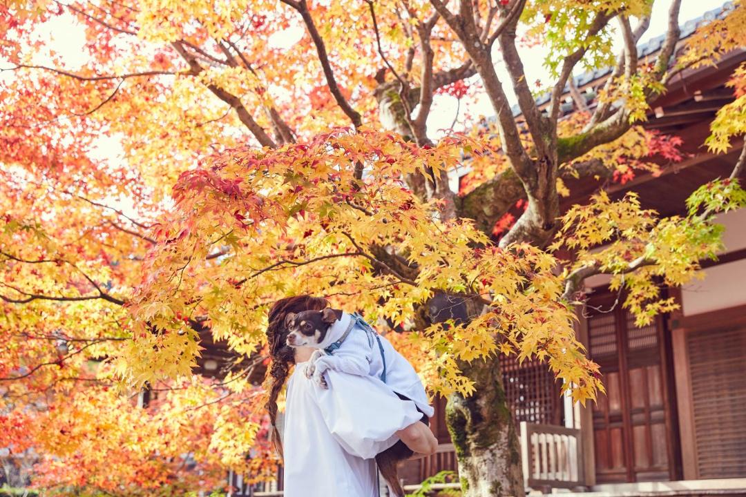 Photo of Others in Arashiyama