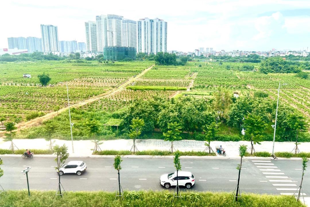 Photo of Others in Mang Yang