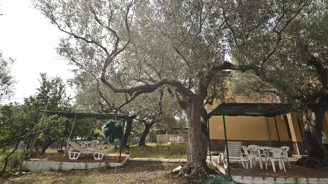 Photo of Others in Marina Di Camerota