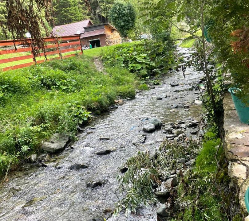 Photo of Others in Moeciu de Sus