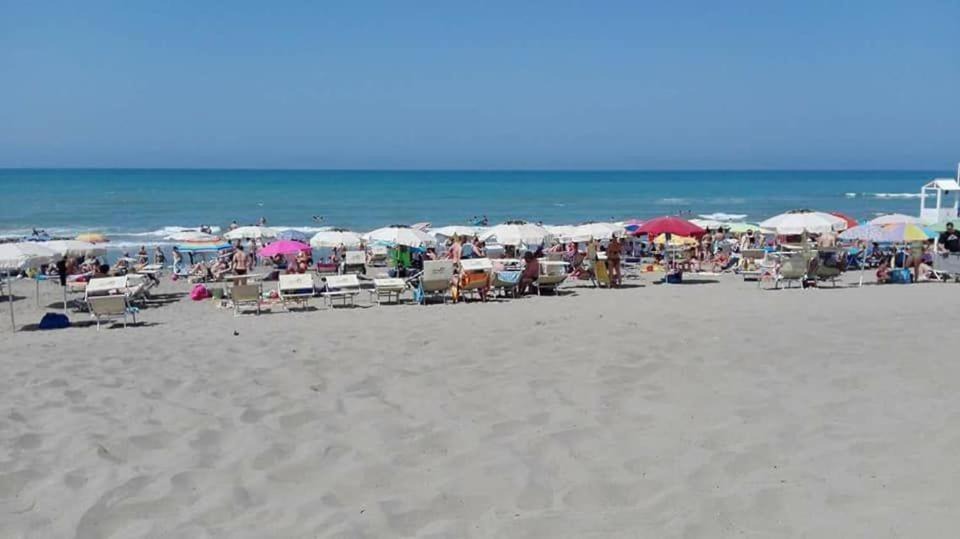 Photo of Others in Pomezia
