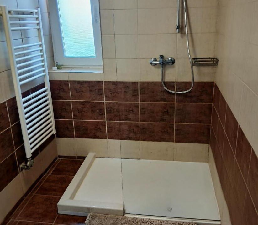 Photo of Bathroom in Paltinis