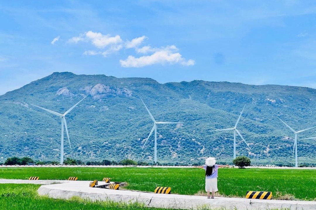 Photo of Others in Phan Rang - Thap Cham