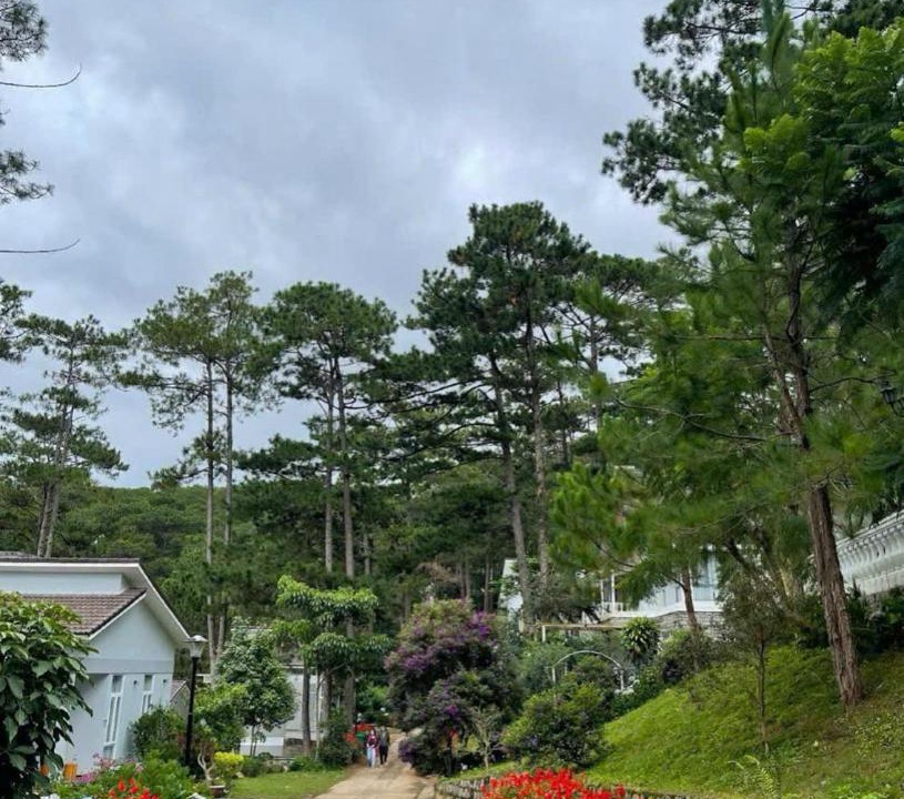 Photo of Others in Da Lat