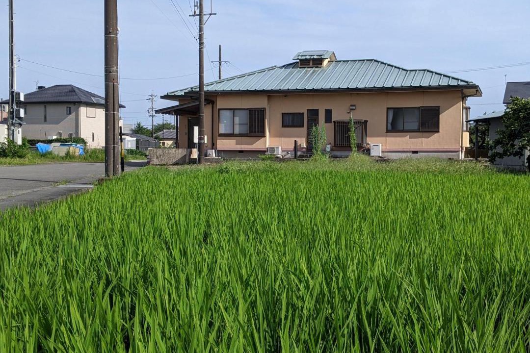 Photo of Others in Fujieda