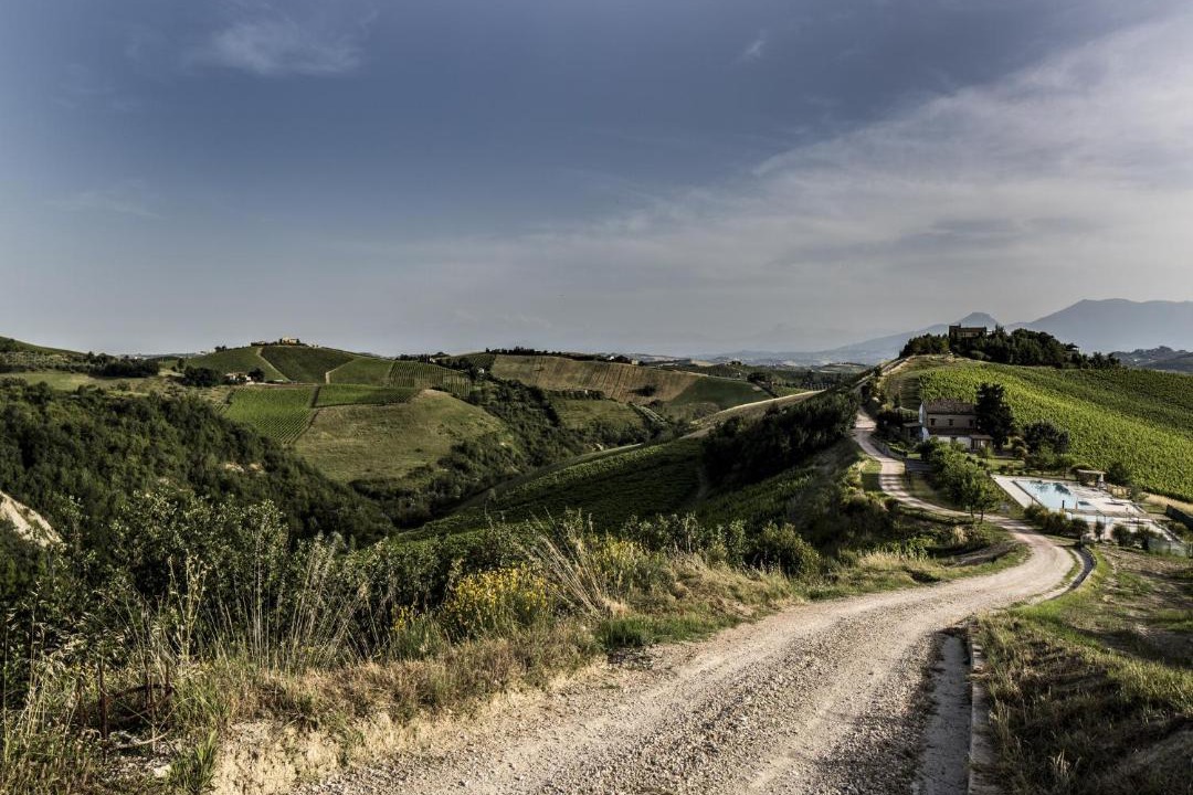 Photo of Others in San Savino